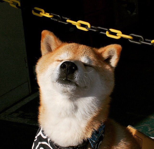 世界杯大战：逆境逆袭的足球精神展现，世界杯大战_逆境逆袭的足球精神展现了什么