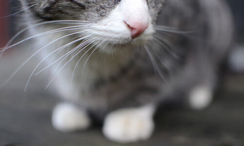 运动装备生产技术升级，运动装备资讯